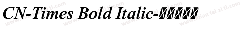 CN-Times Bold Italic字体转换